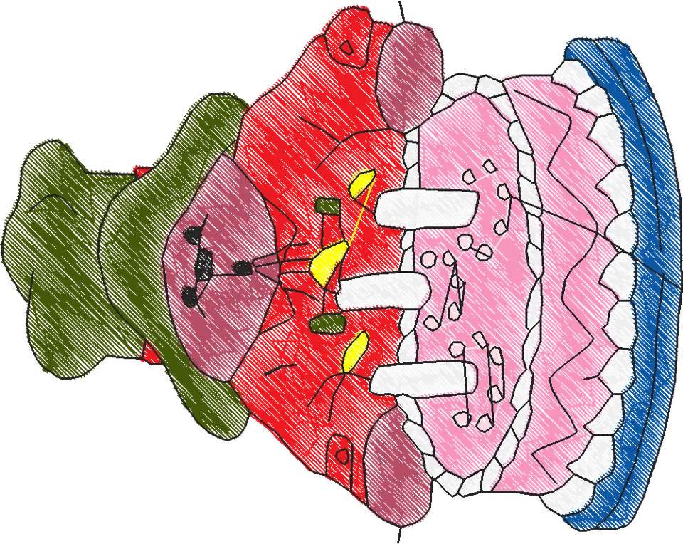 Paddington Bear3 (4)